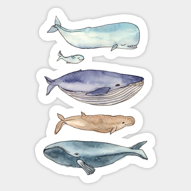 whales family Sticker by alenaganzhela